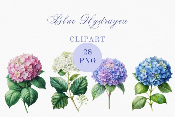 Hydrangea Flowers Watercolor Set: Creative Inspiration for Every Project