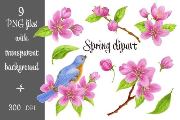 Set Sakura Flowers Bird Spring Clipart: A Versatile Design Resource for Spring-Themed Projects