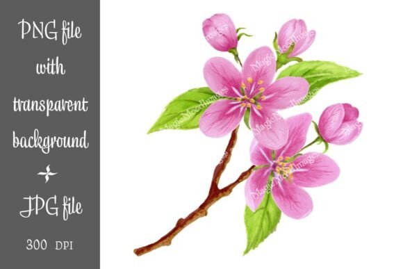 Spring Sakura Flowers Blossom Clipart: A Versatile Design Resource for Creative Professionals