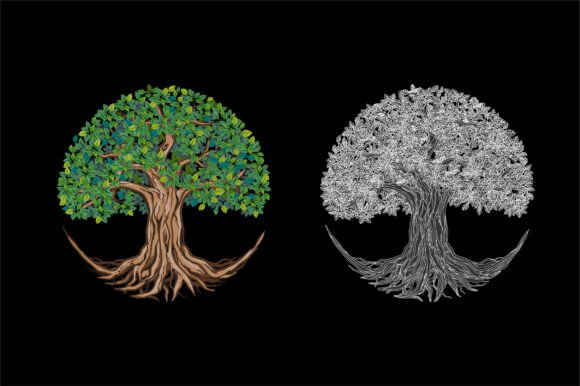 The Timeless Appeal of Ancient Olive Tree Hand Drawing in Modern Design
